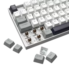 Teclado Mecânico 80% Redragon Kumara White/Gray Switch Dust-Proof Brown - K552WGL-RGB na internet