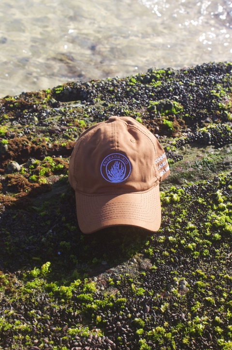 BONÉ TERRA - comprar online