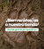 Carrusel Fundación CEBio