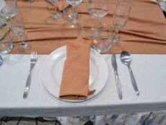 Servilletas lisas Tusor Pack x 6 unidades - comprar online