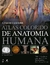 Abrahams & Mcminn Atlas Colorido De Anatomia Humana