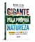 Gigante pela própria natureza: Como lideranças que vão além do ESG podem tornar o Brasil a superpotê - comprar online