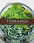 Terrários - comprar online