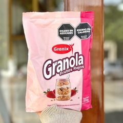 GRANOLA GRANIX en internet