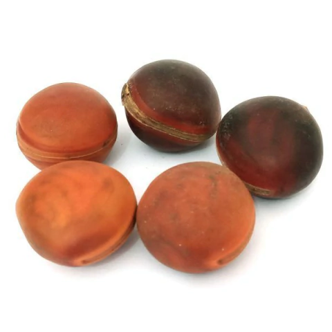 Olho de Boi Mucunã - Unidade - comprar online