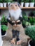 Imagem do Duende Ancião Flexível de Cabelo Branco e Carinha de Bom Velhinho e Gorro Azul + Brindes