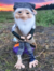 Duende Ancião Flexível de Cabelo Branco e Carinha de Bom Velhinho e Gorro Azul + Brindes na internet