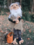 Duende Ancião Flexível de Cabelo Branco e Carinha de Bom Velhinho e Gorro Azul + Brindes - Bazar Completo