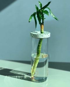 Floreros Hidroponicos
