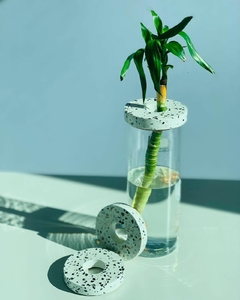 Floreros Hidroponicos - comprar online