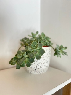 Maceta Mediana Terrazo - comprar online