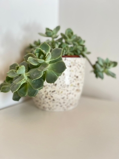 Maceta Mediana Terrazo - AlayTienda