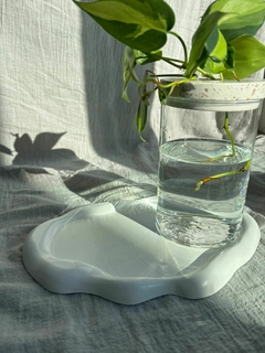 Hidroterrario en internet