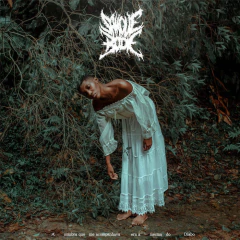 LP 12" Sangue de Bode - A Sombra que me acompanhava era a mesma do Diabo - comprar online