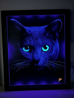 Cat eyes