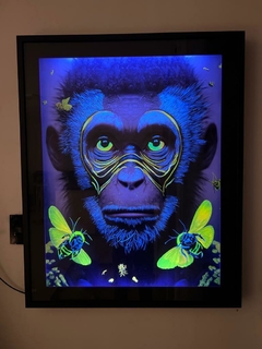 Bee monkey