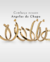 Banner de LC SOUZA FOLHEADOS