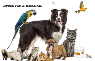 Mundo Pez & Mascotas