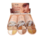 ILUMINADOR CREMA Glow nude SFR #7562