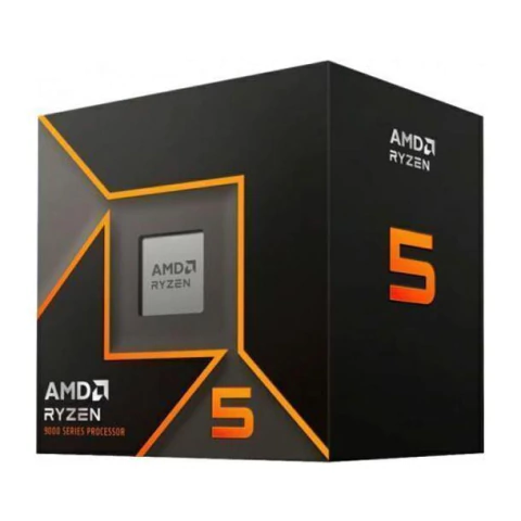 Micro Amd Ryzen 5 9600 C/video C/cooler Am5