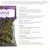 Nanã – Mix de Ervas - comprar online
