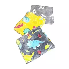 BL124-Frazada peluche luminoso de 2 1/2 plaza | Contidad minima de compra 12 - tienda online
