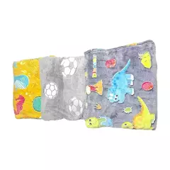 BL124-Frazada peluche luminoso de 2 1/2 plaza | Contidad minima de compra 12