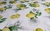 Mantel Matero Gabardina Acrílica Limones - comprar online