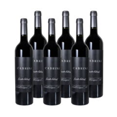 Cabernet Sauvignon Leandro Cabrini x 6 botellas