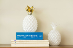 Hawai | Ananá Blanco y Oro 10x19cm - comprar online