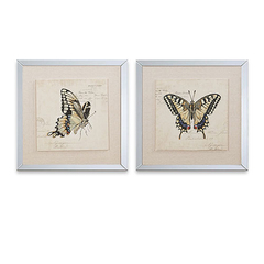 butterfly | set x 2 cuadros 40x40cm