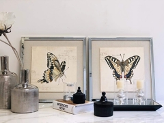 butterfly | set x 2 cuadros 40x40cm - SOIE TIENDA DECO