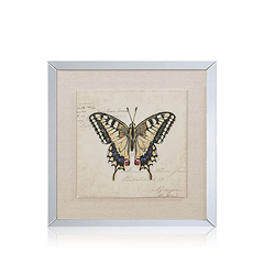 butterfly | set x 2 cuadros 40x40cm en internet