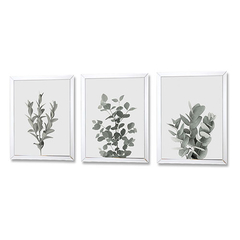 eucaliptus | set x 3 cuadros 30x40cm