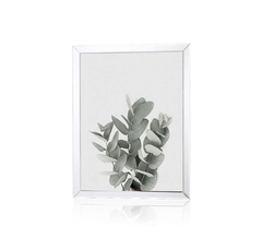eucaliptus | set x 3 cuadros 30x40cm - SOIE TIENDA DECO