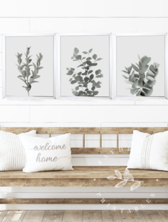 eucaliptus | set x 3 cuadros 30x40cm - tienda online