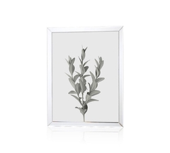 eucaliptus | set x 3 cuadros 30x40cm - comprar online