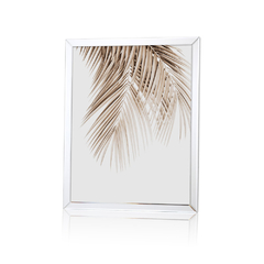 ANTIQUE FEATHER | Set x 2 Cuadros 40x50cm - comprar online