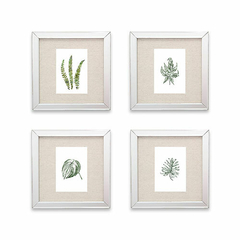 BOTANICA | SET X 4 CUADROS 25X25CM