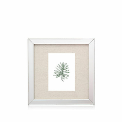 BOTANICA | SET X 4 CUADROS 25X25CM
