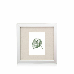 BOTANICA | SET X 4 CUADROS 25X25CM