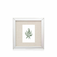 BOTANICA | SET X 4 CUADROS 25X25CM - comprar online