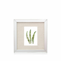BOTANICA | SET X 4 CUADROS 25X25CM en internet