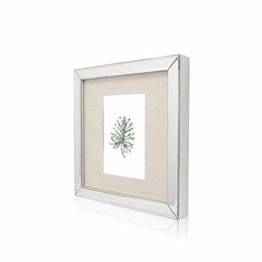 BOTANICA | SET X 4 CUADROS 25X25CM