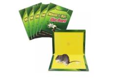 Trampa Adhesiva Grande Pegamento Mata Rata Ratón Laucha X1 - comprar online