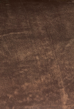 Sillón Chesterfield n˚12 en internet