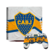 BOCA JUNIORS - Combo SKIN PS4 - 04