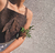 VENUS Top | brown - comprar online