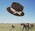 Sombrero CHAJ