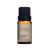ÓLEO ESSENCIAL DE GENGIBRE